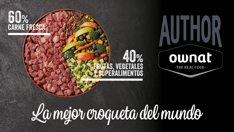 Slide 4 -  solo lo mejor de lo mejor