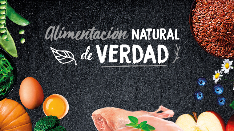 Slide 1 -  alimentación de verdad 