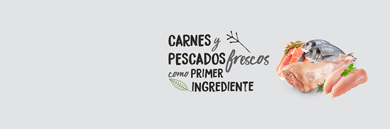 Incorporamos carnes y pescados